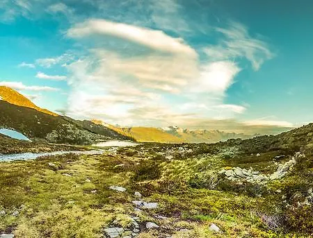 Apartment Stylish Living