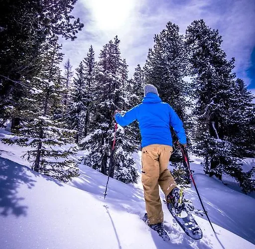 Stylish Living באד גסטיין